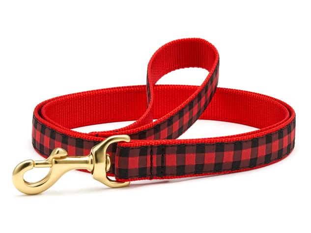 Dog Collars: 1